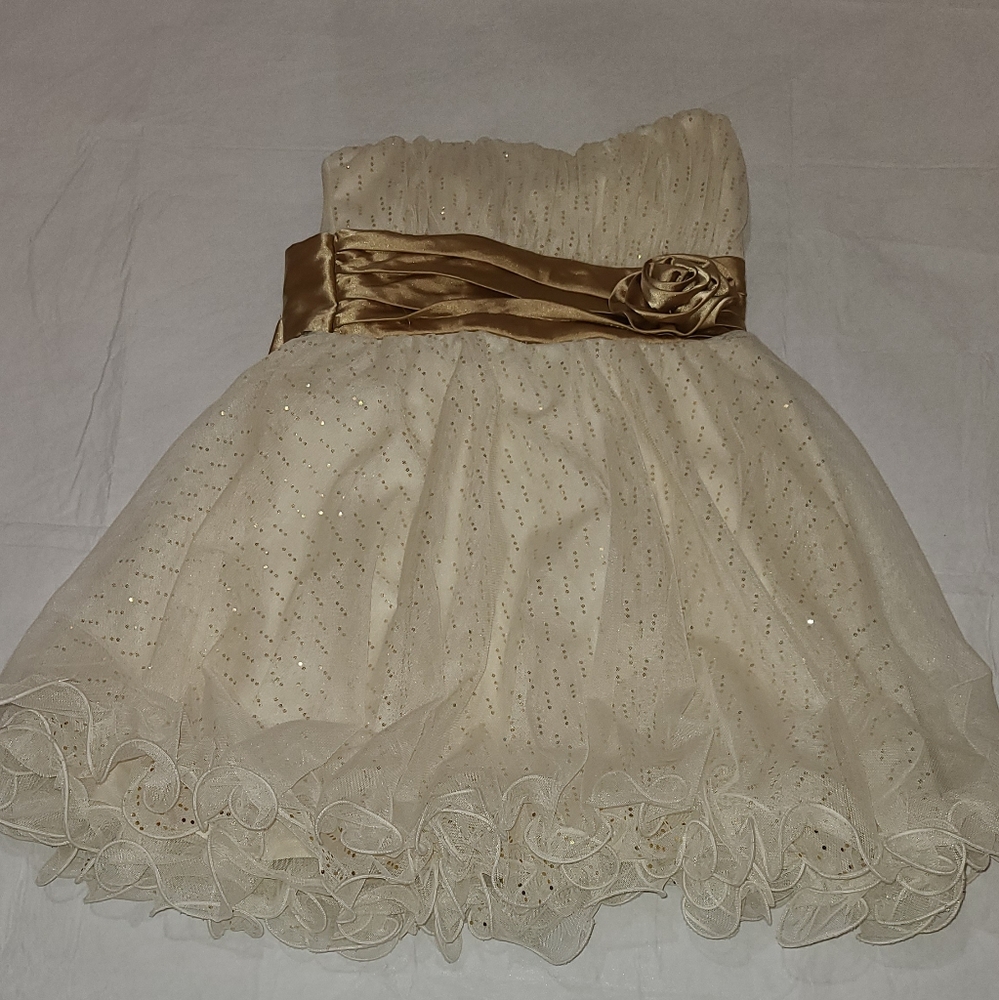 TEEZE ME. Size 5 Princess Dress. Never worn. Formal dress.